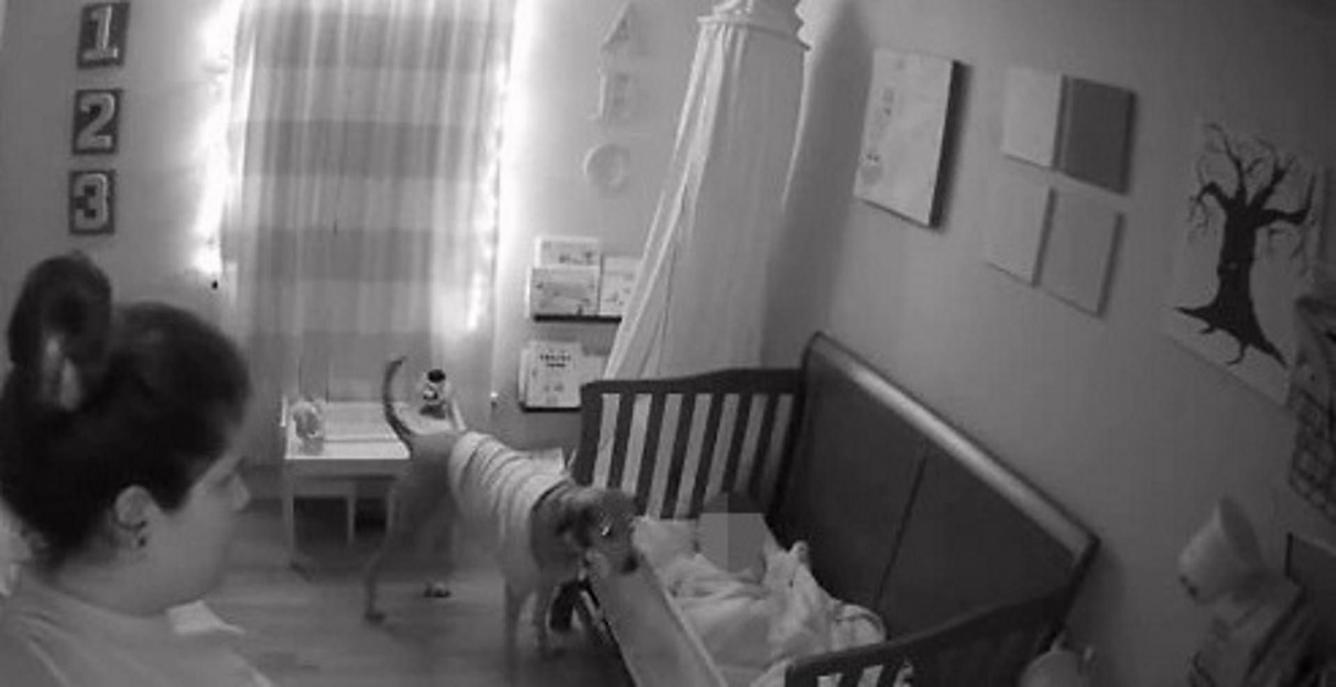 Chłopiec twierdził, że słyszy głosy z kamerki