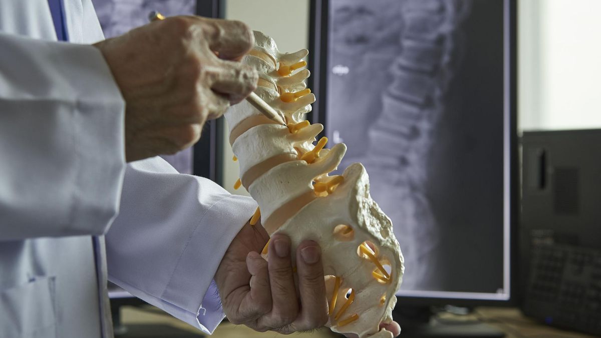 Sekwestracja to pojęcie, które ma bardzo wiele znaczeń. 