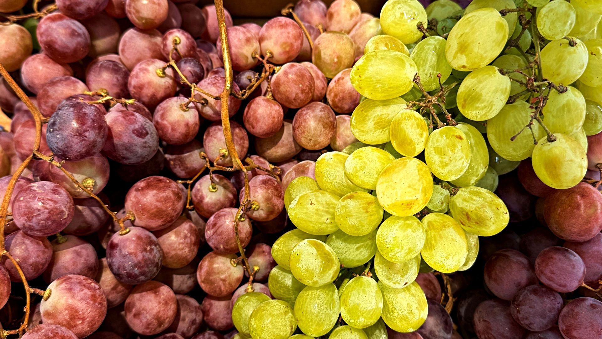Winogrona białe kontra czerwone. Jakie są różnice?