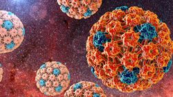 Wirus HPV - rodzaje, zakażenie, objawy, skutki, badania, leczenie