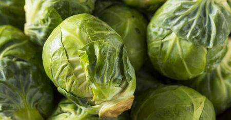 Kilogram kupisz w popularnym dyskoncie za 5 zł. Poznaj właściwości zdrowotne brukselki