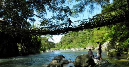Indonezja - żyjący most Jembatan Akar