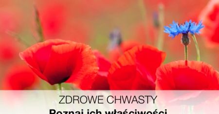 Poznaj zdrowe chwasty (WIDEO)