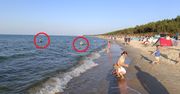 Plaga na polskich plażach. "Są na wakacjach, wszystko im wolno"