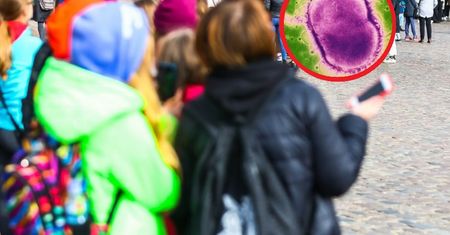 Seria zachorowań wśród uczniów. Wrócili z wycieczki w Polsce