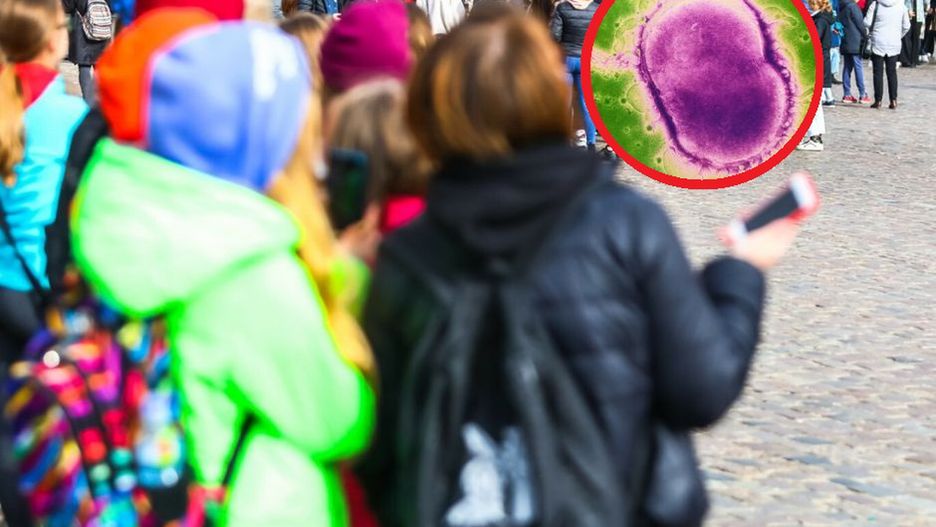 Zachorowali po wycieczce do Polski? Ciężka choroba w irlandzkiej szkole