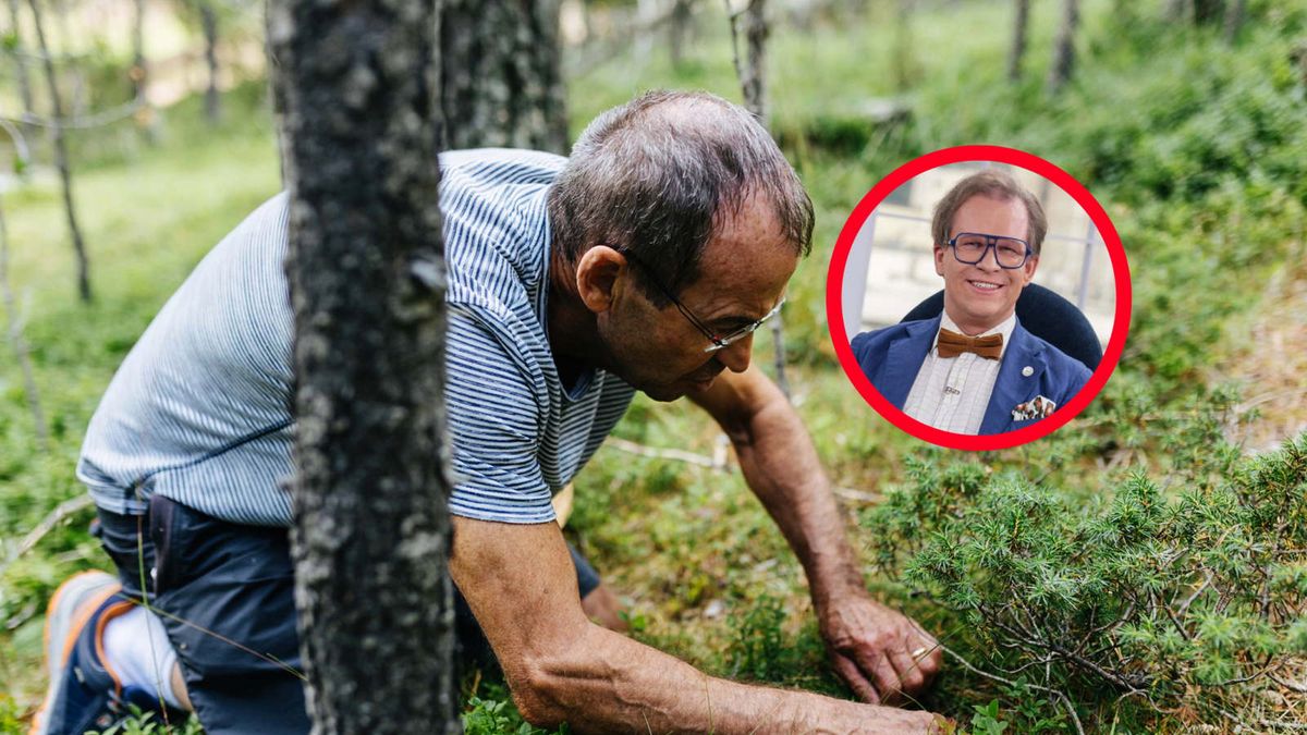 Toksykolog alarmuje. "Ludzie idą na grzyby i kompletnie tracą rozsądek"