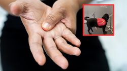 Zapach parkinsona. Psy mogą go wyczuć 20 lat przed lekarzami