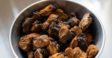 Zbija cukier i cholesterol. Spowalnia rozrost komórek rakowych w wątrobie