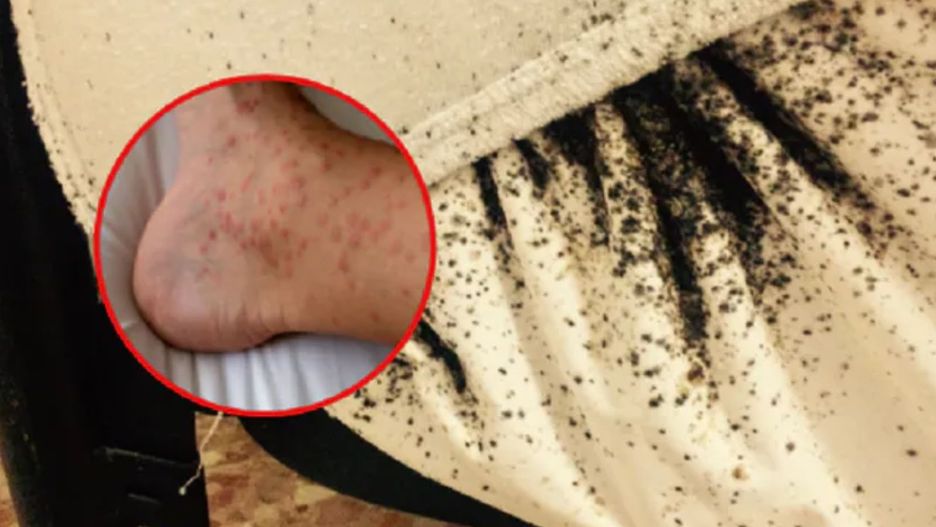 Wszedł do pokoju hotelowego. "Już nie mieściły się w łóżkach"