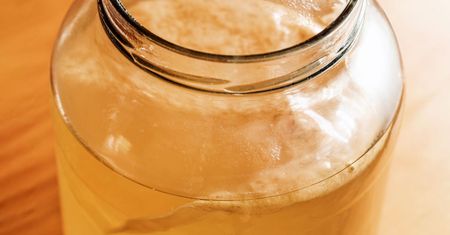 Kombucha – moda czy realne korzyści zdrowotne?