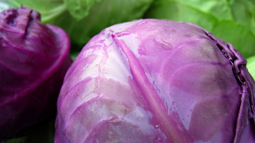 Sałatka owocowa z czerwoną kapustą