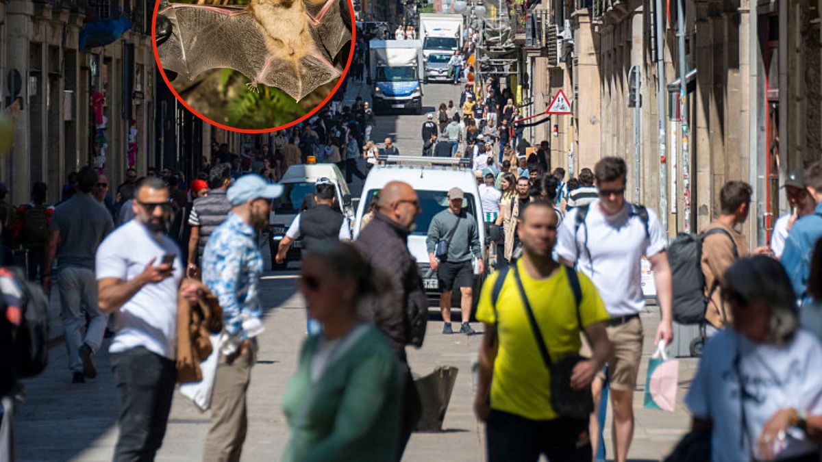 Katalonia ostrzega przed wścieklizną. Nietoperze głównym zagrożeniem