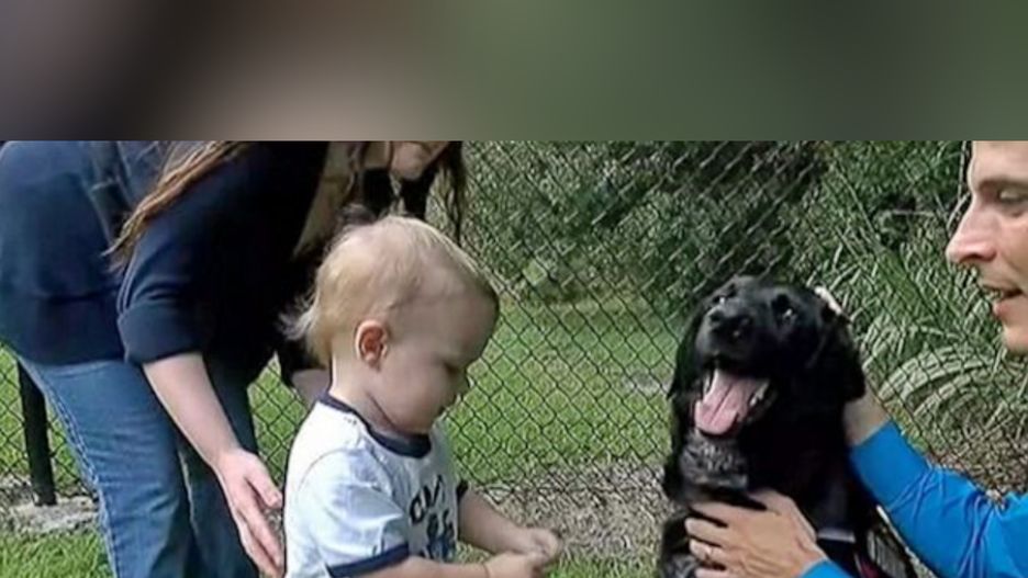 Pies zyskał uznanie nie tylko wśród swoich właścicieli, ale także w lokalnej społeczności, która okrzyknęła go "obrońcą domu"