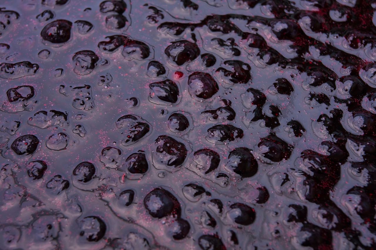 Polski owoc okrzyknięty "eliksirem młodości". Regeneruje wzrok, chroni serce