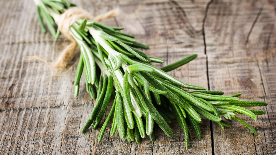 Olejek eteryczny produkowany z rozmarynu może pomóc dzieciom poprawić ich pamięć