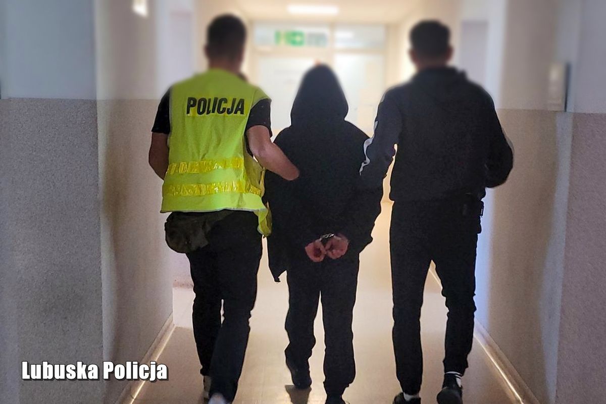 Zatrzymany mężczyzna