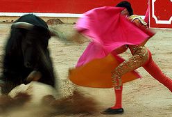 Corrida - tradycyjna walka z bykiem