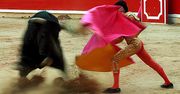Corrida - tradycyjna walka z bykiem
