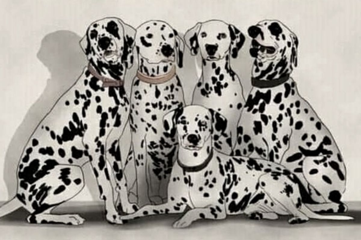 95 procent ludzi nie widzi pandy na obrazku. Zaliczasz się do nich?