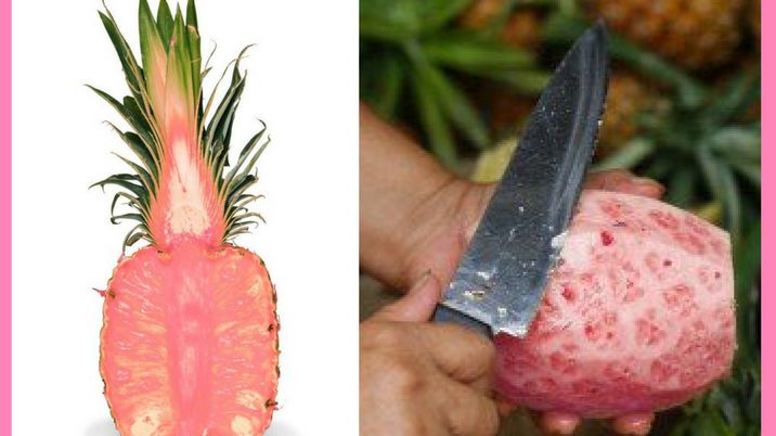 Różowy ananas lekiem na raka