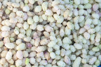 Pomaga w walce z cholesterolem i reguluje ciśnienie krwi. Polacy coraz częściej sięgają po "białe złoto"