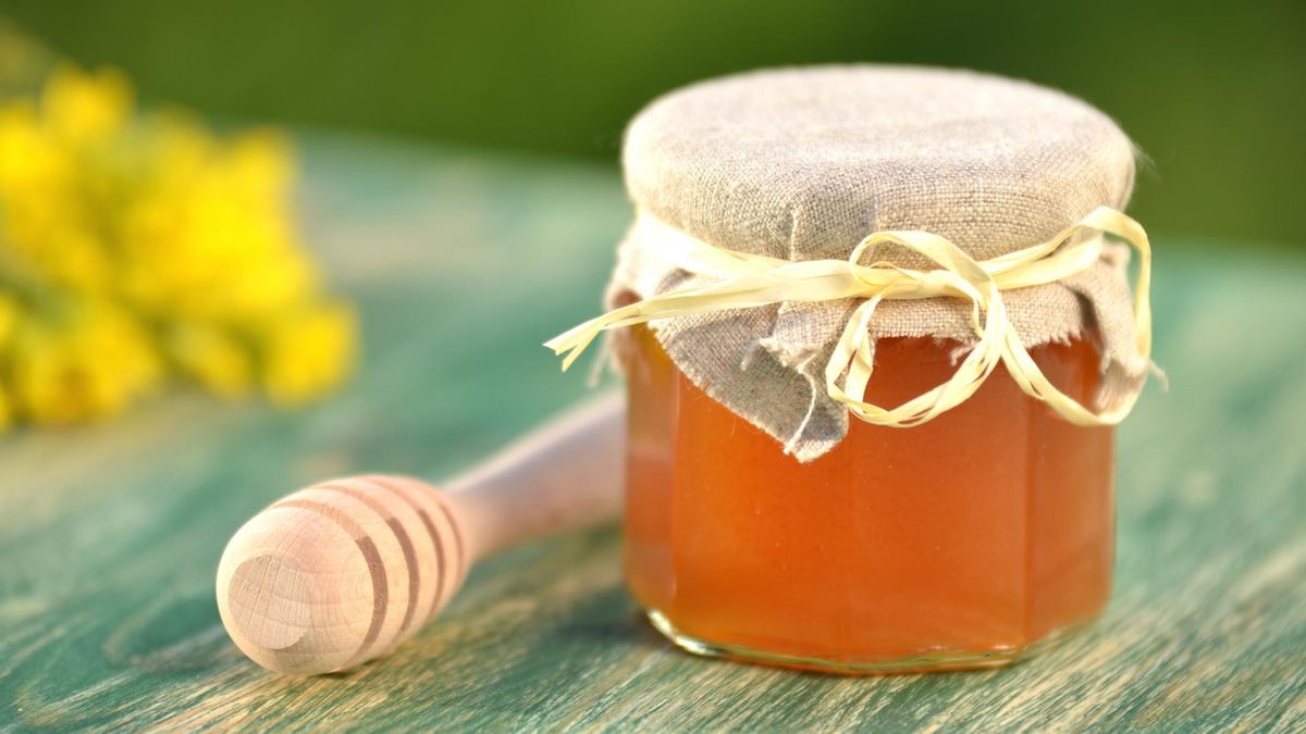 Miód nawłociowy to dość rzadko spotykany rodzaj miodu, który z tego powodu jest niezwykle cenny.