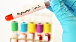 Podwyższone leukocyty w ciąży - czy to groźne?