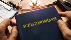Schistosomatoza (bilharcjoza) - przyczyny, objawy, diagnostyka, leczenie, powikłania
