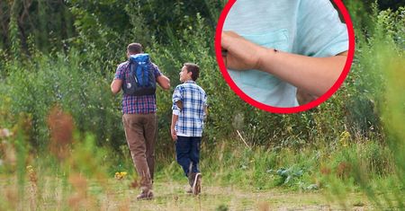 Są najbardziej narażone na boreliozę. Naukowcy ujawnili czynniki ryzyka