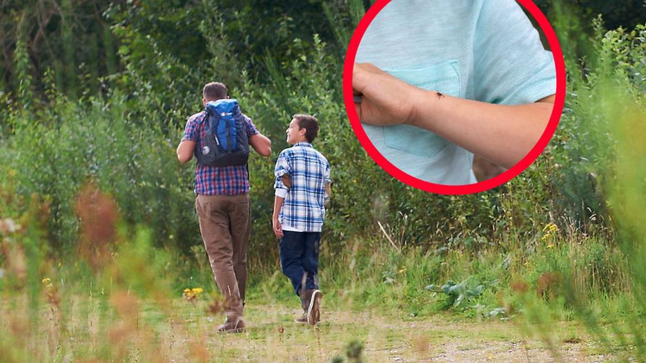 Istotny czynnik. Znacząco zwiększa ryzyko zachorowania na boreliozę