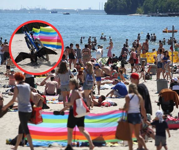 Uważaj podczas pobytu na plaży. Władze gminy Sztutowo apelują o rozsądek