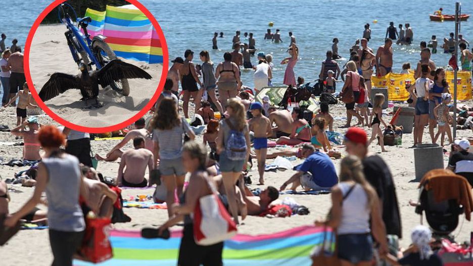 Uważaj podczas pobytu na plaży. Władze gminy Sztutowo apelują o rozsądek