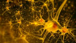 Paraliż postępujący. Na czym polega choroba, na którą cierpi Benedykt XVI?