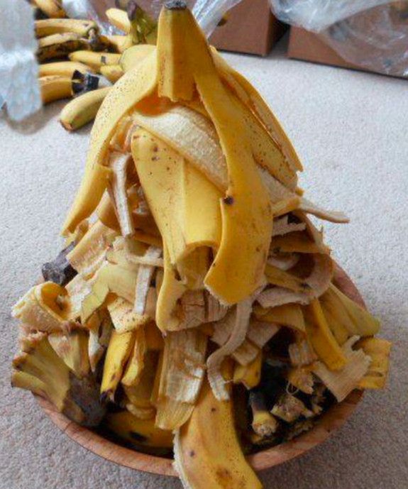 Yulia Tarbath i 12-dniowy detoks bananowy