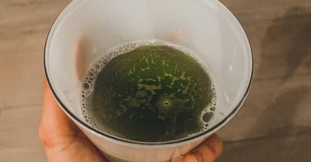 Przez trzy dni piła tę herbatę. Jej wątroba nie wytrzymała