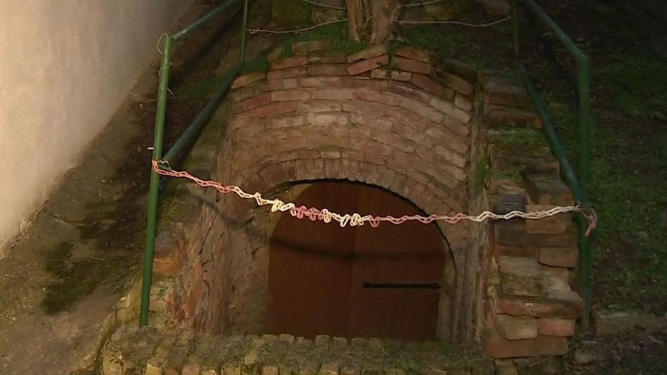 Dzieci żyły w piwnicy na wino