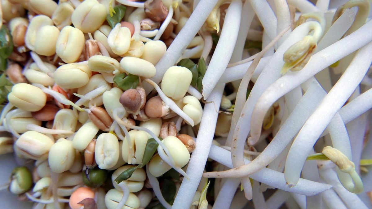 Jak zadbać o swoje serce? Pamiętaj o stosowaniu 10 ważnych zasad żywieniowych i uprawianiu aktywności fizycznej.