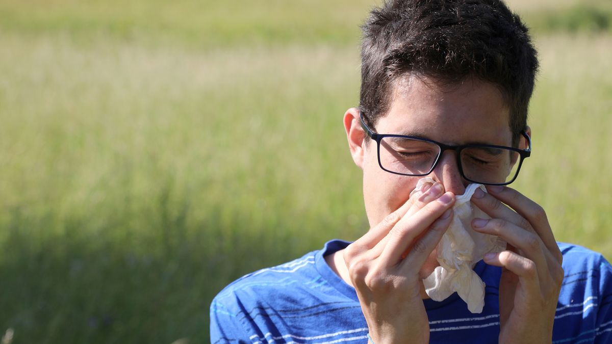Claritine łagodzi objawy reakcji alergicznej