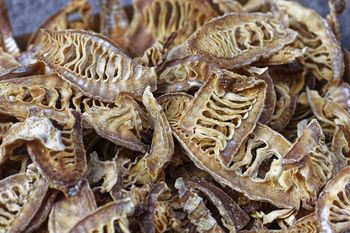 Naukowcy odkryli wyjątkowe właściwości bambusa. Obniża poziom cukru i wspiera serce