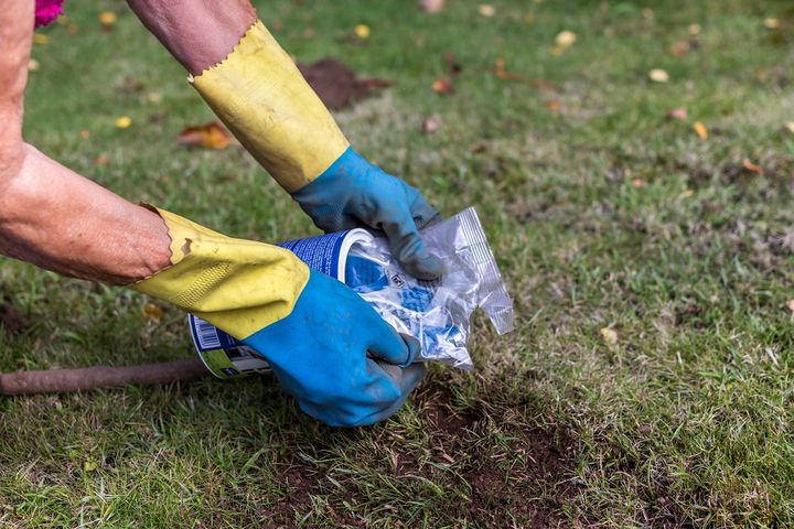 GIS ostrzega: Oddaj do utylizacji. W domu stwarzają duże zagrożenie