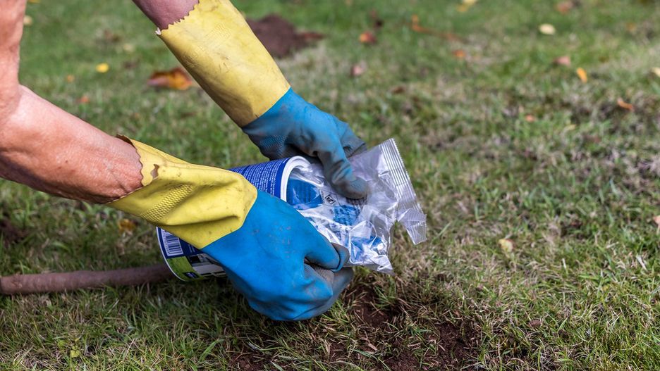 GIS ostrzega: Oddaj do utylizacji. W domu stwarzają duże zagrożenie