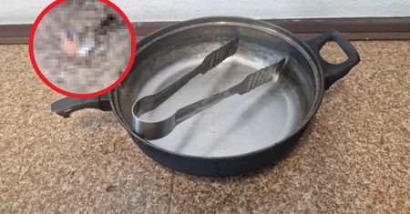 Grupa nastolatków nagrała, jak znęca się nad ptakiem. Mieli go ugotować żywcem