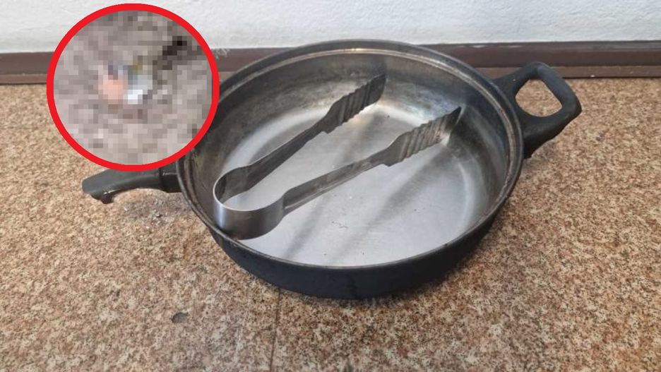 Grupa nastolatków nagrała, jak znęca się nad ptakiem. Chcieli go ugotować żywcem