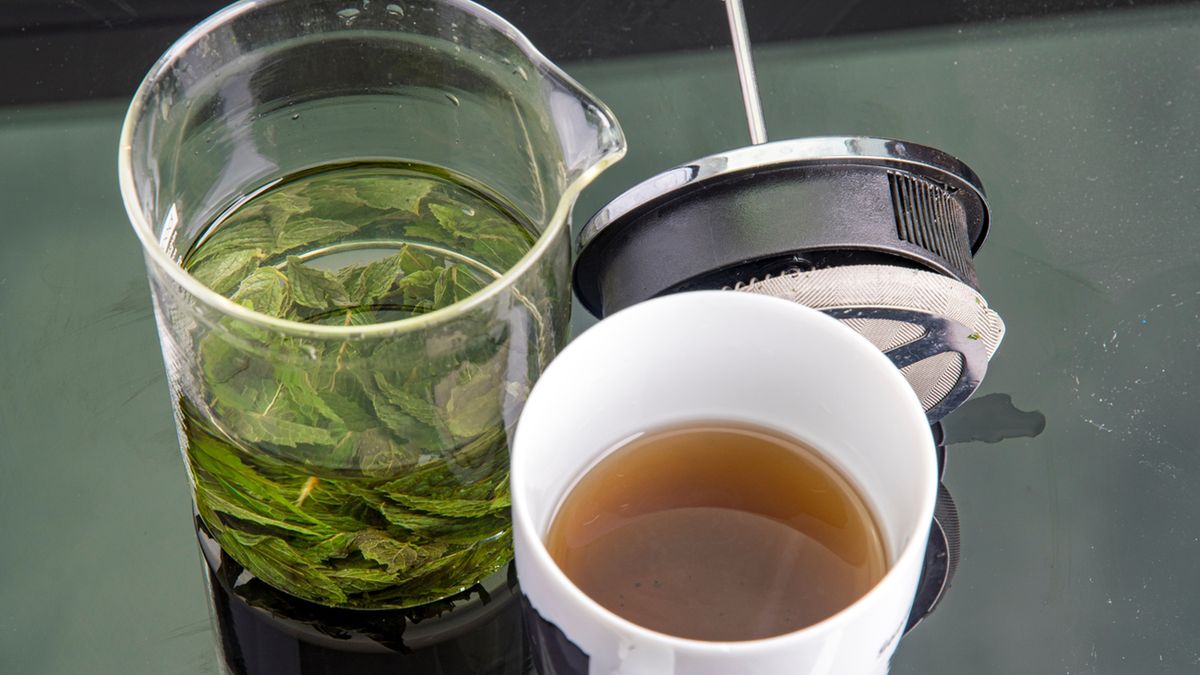 Melisa lekarska ma przede wszystkim właściwości uspokajające