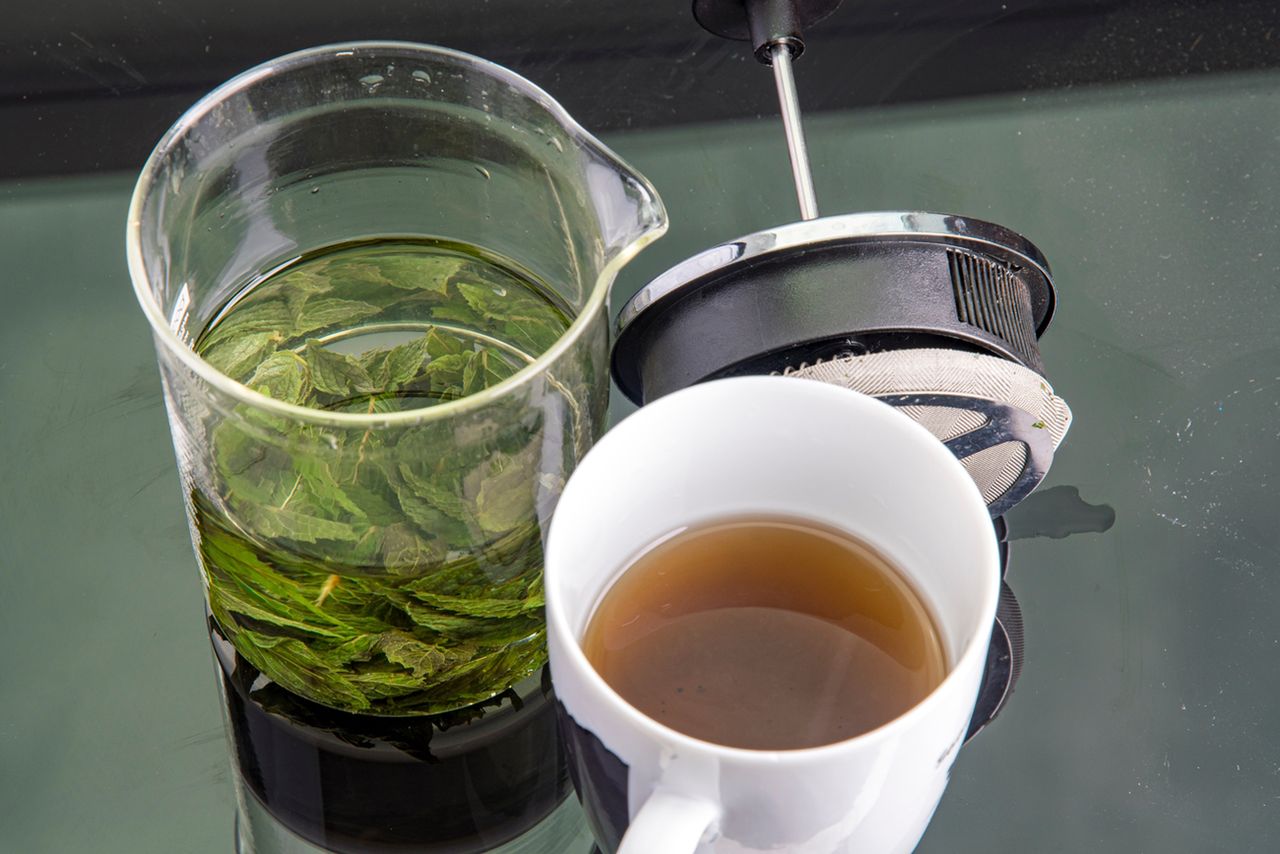 Melisa lekarska – właściwości, działanie i stosowanie