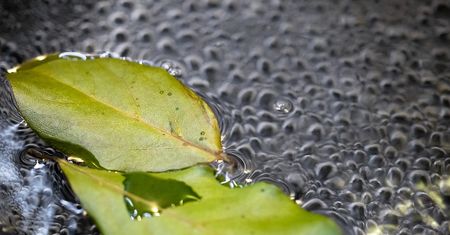 Wystarczą trzy składniki. Szybko pozbędziesz się męczącego kaszlu