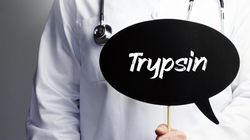 Trypsyna - budowa, wytwarzanie, rola w organizmie