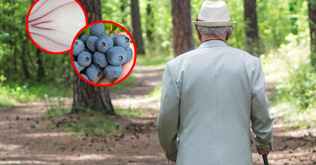 Najlepsze produkty dla mózgu. Chronią przed demencją i udarem