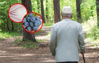 Najlepsze produkty dla mózgu. Chronią przed demencją i udarem